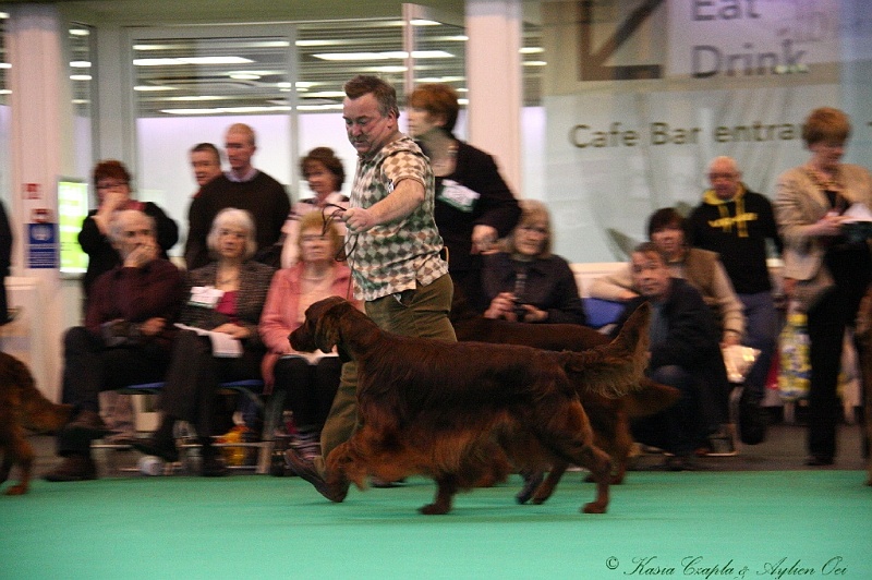 Crufts2011 818.jpg